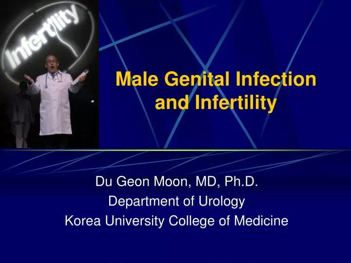 male genital infection and infertility