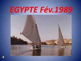 egypte f v 1989
