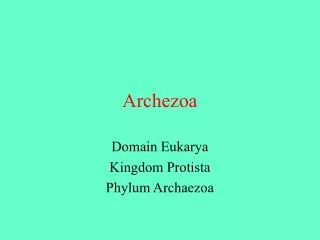 Archezoa