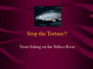 Stop the Torture!!