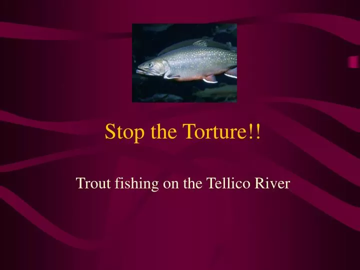 stop the torture