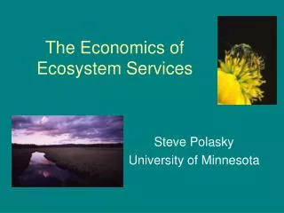 The Economics of Ecosystem Services