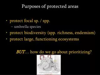 Purposes of protected areas