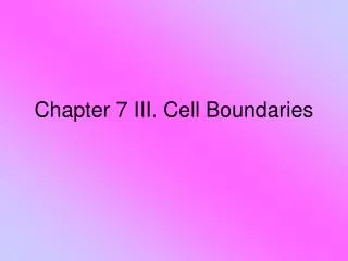 Chapter 7 III. Cell Boundaries