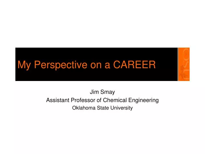 my perspective on a career