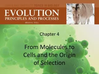 Chapter 4 From Molecules to Cells and the Origin of Selection