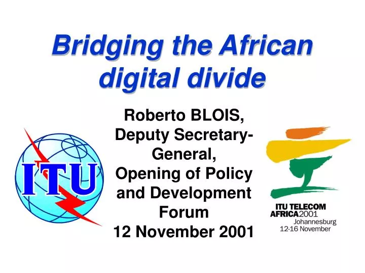 bridging the african digital divide