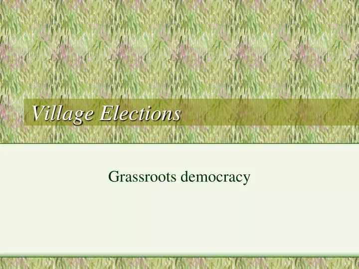 village elections