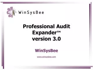 professional audit expander version 3 0 winsysbee www winsysbee com