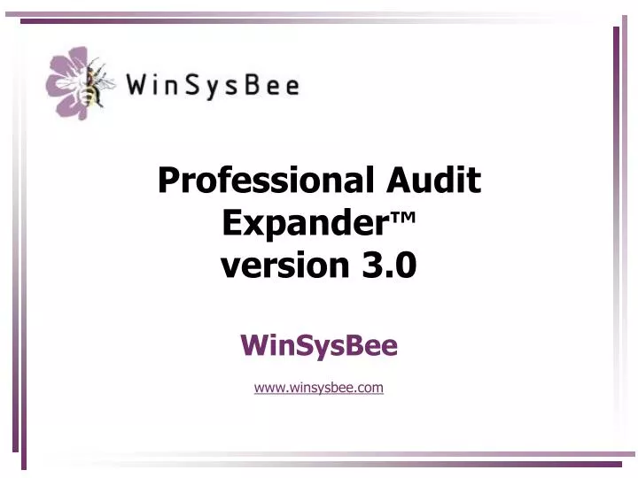 professional audit expander version 3 0 winsysbee www winsysbee com