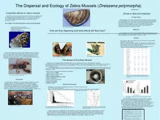 The Dispersal and Ecology of Zebra Mussels ( Dreissena polymorpha ).
