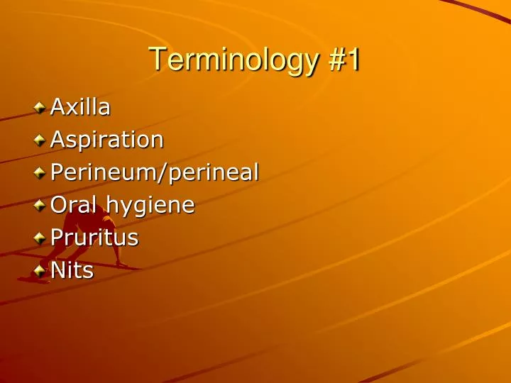 terminology 1