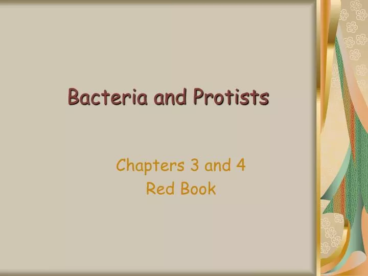 bacteria and protists