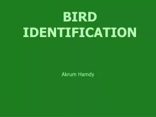 BIRD IDENTIFICATION