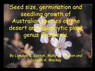 Seed size, germination and seedling growth of Australian species of the desert and halophytic plant genus Frankenia.