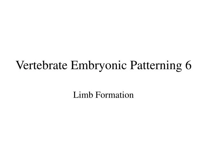 vertebrate embryonic patterning 6