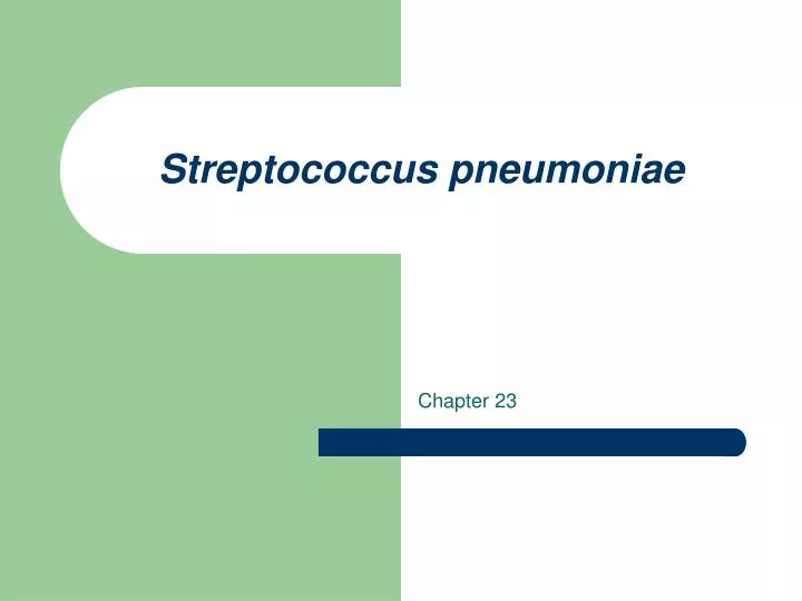 streptococcus pneumoniae