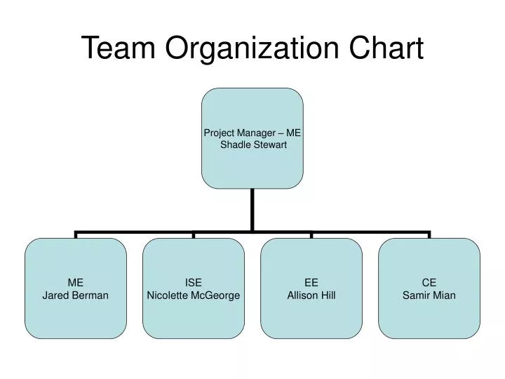 team organization chart