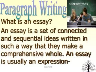 What is an essay?