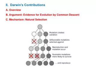 II. Darwin’s Contributions A. Overview B. Argument: Evidence for Evolution by Common Descent C. Mechanism: Natural Sele