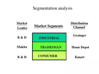 Segmentation analysis