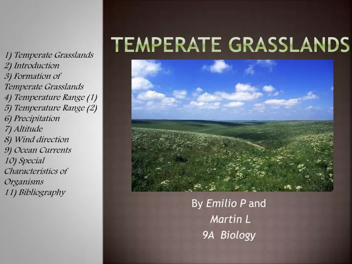 temperate grasslands