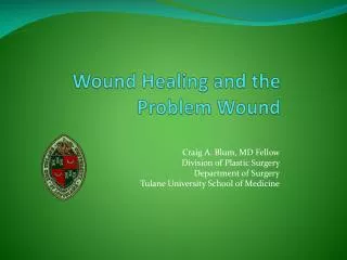 Wound Healing and the Problem Wound