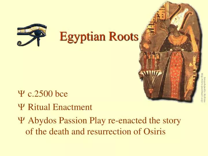 egyptian roots