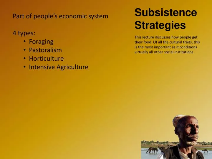 subsistence strategies