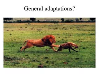 General adaptations?
