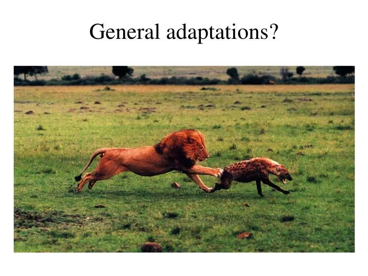 general adaptations