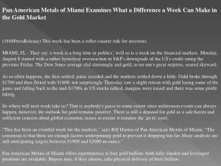 pan american metals of miami examines what a difference a we