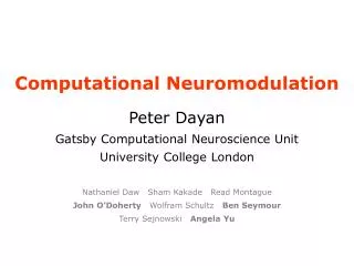 Computational Neuromodulation