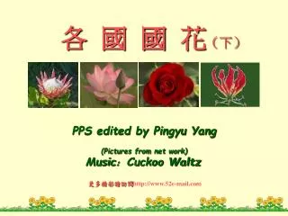PPS edited by Pingyu Yang (Pictures from net work)