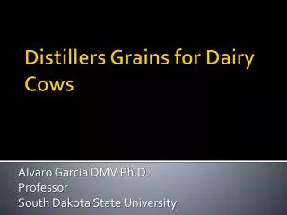 Distillers Grains for Dairy Cows