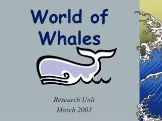 World of Whales