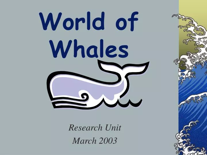 world of whales