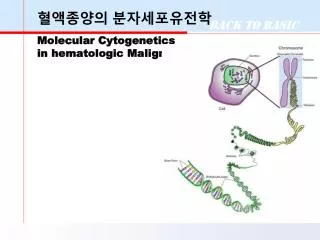 혈액종양의 분자세포유전학 Molecular Cytogenetics in hematologic Malignancy