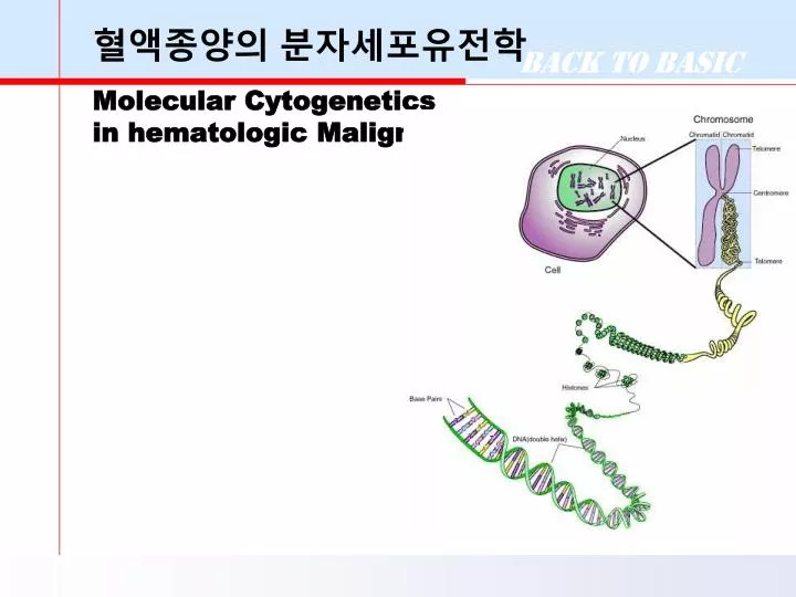 molecular cytogenetics in hematologic malignancy