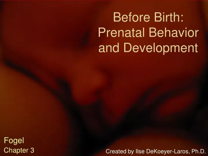 before birth prenatal behavior and development