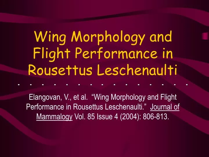 wing morphology and flight performance in rousettus leschenaulti