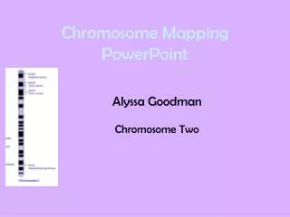 Chromosome Mapping PowerPoint