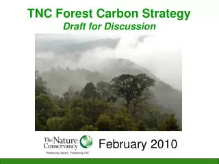 TNC Forest Carbon Strategy Draft for Discussion