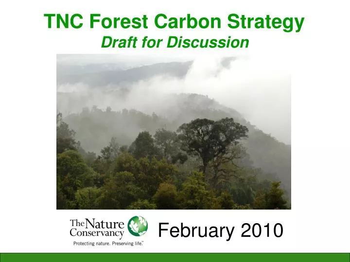 tnc forest carbon strategy draft for discussion