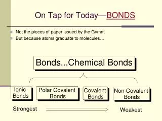On Tap for Today— BONDS