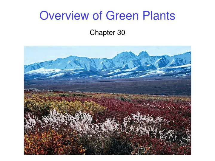 overview of green plants