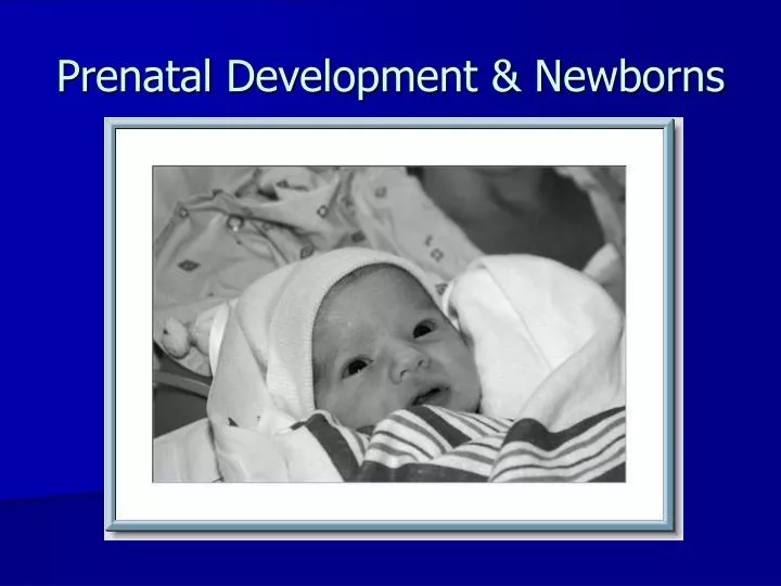 prenatal development newborns