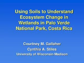 Using Soils to Understand Ecosystem Change in Wetlands in Palo Verde National Park, Costa Rica