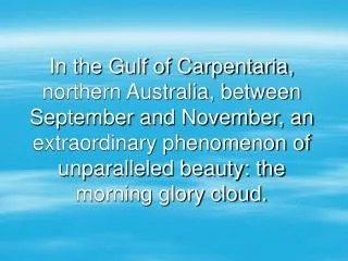 In the Gulf of Carpentaria, northern Australia, between September and November, an extraordinary phenomenon of unparalle