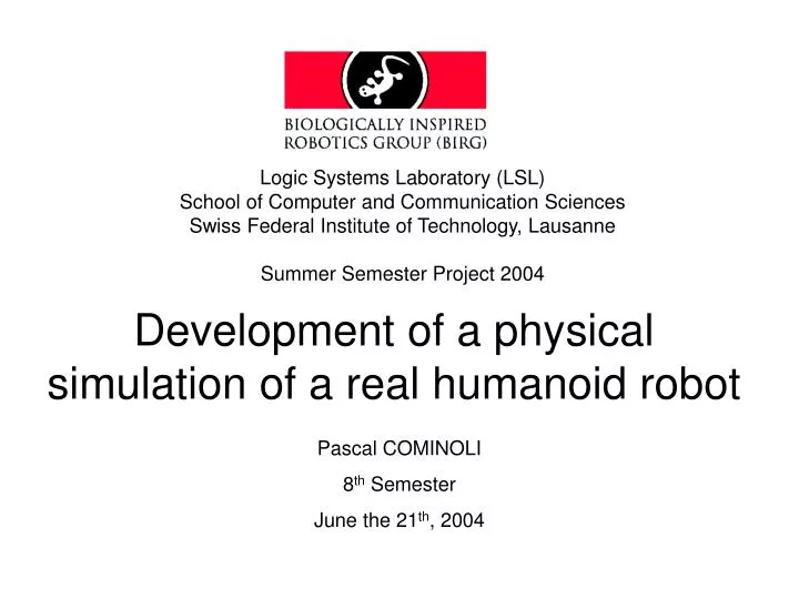 development of a physical simulation of a real humanoid robot